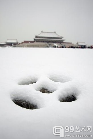 故宫博物院院长回应将打破封闭重塑形象