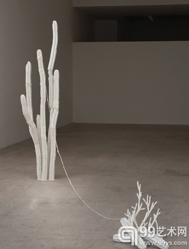 Anton Lieberman, Growing, 2011