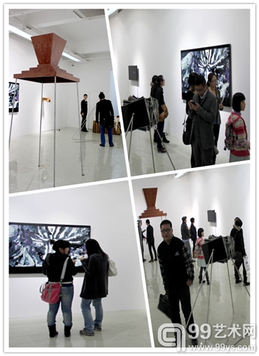 展览现场