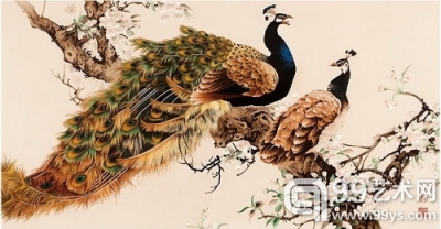 彩孔雀