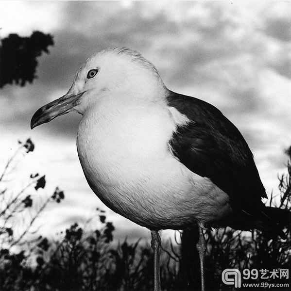 民謡山河    青森・八戸　1978年