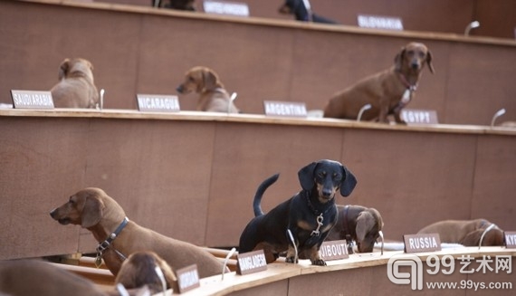 “Dachshund UN”只是愚蠢且高度娱乐化的闹剧吗？