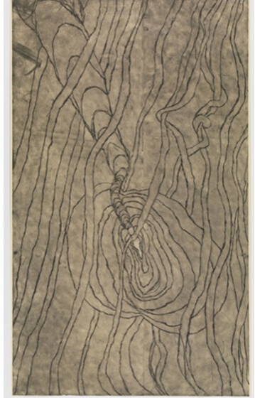 纸上作品 The Nest, 2009.