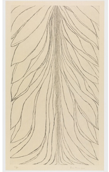 纸上作品 The Smell of Eucalyptus (#1), 2006.
