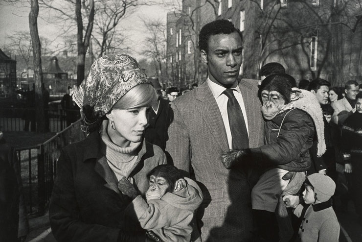 Central Park Zoo, New York, 1967