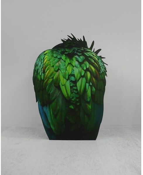 KATJA NOVITSKOVA作品《Approximation (Loro)》, 2014，Kraupa-Tuskany Zeidler画廊
