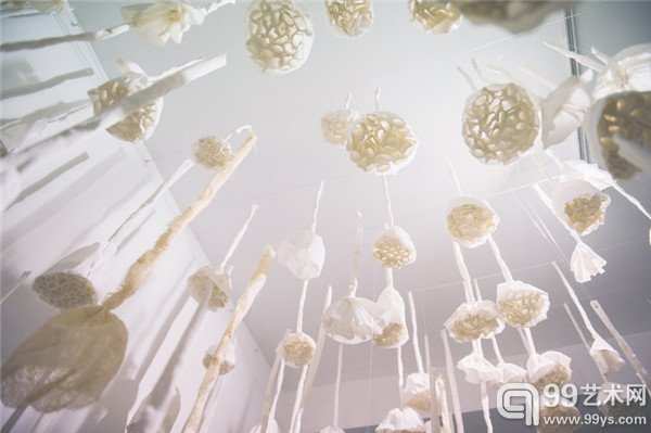 Brian Reed 风中的莲花（局部2）wind Lotus 装置 2014