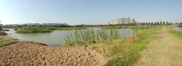 中法艺术公园园区 1-A号地 全景(湖东岸)