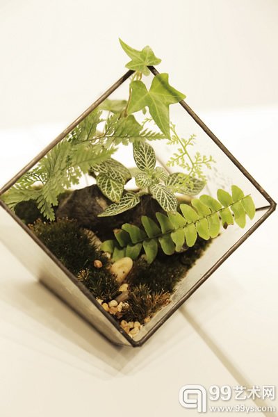 100文艺景象·珍物展_参展作品_马岩松【苔藓