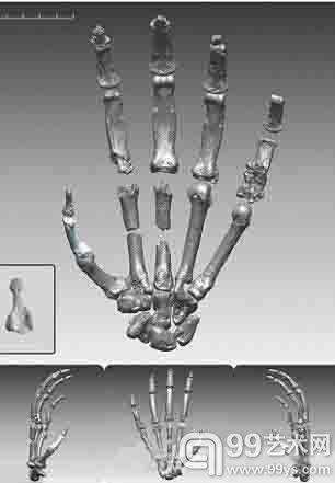 考古惊现440万年“地猿始祖” 或与人类存在血系关联