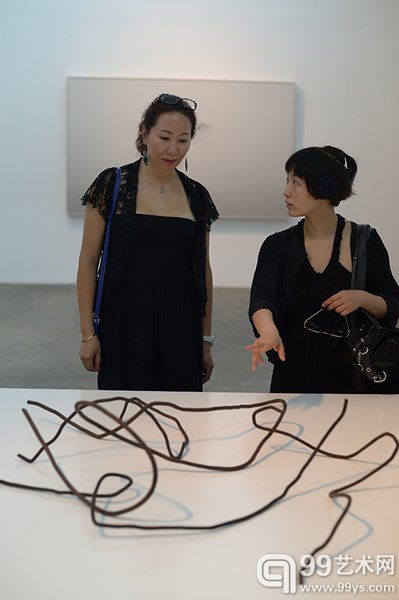 郭工作品《钢筋肖像》