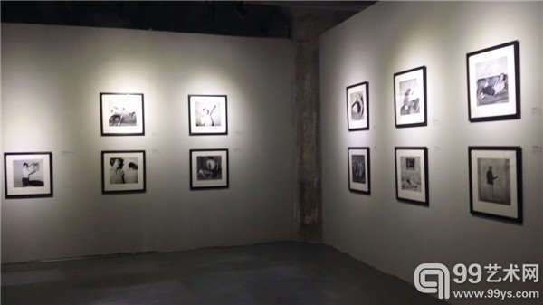 展览现场