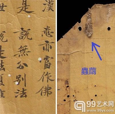 图4 ，卷轴形式下的北方虫眼，左为国家图书馆藏BD00029 写经局部虫眼，右为大英图书馆藏“斯00925 ”写经局部虫眼及虫茧