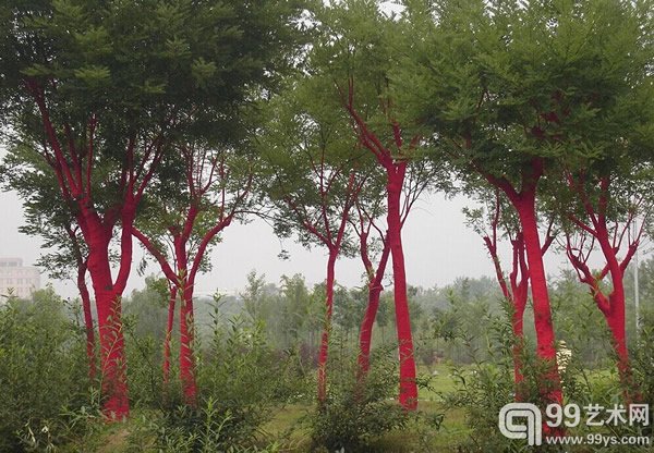 《鲜红》
