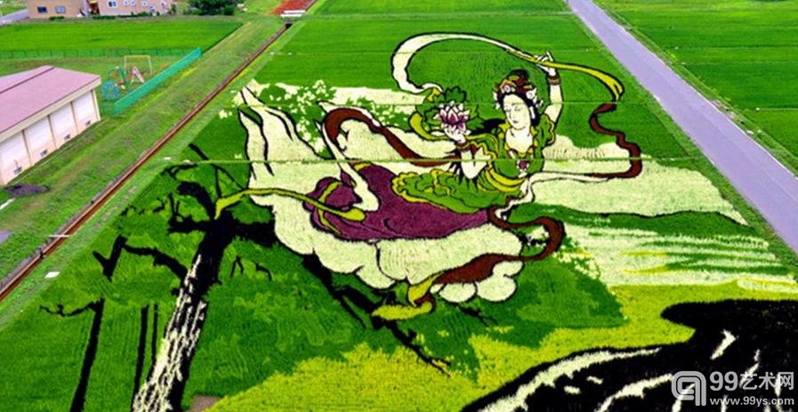 日本青森县田舍馆村用水稻种出“仙女图”