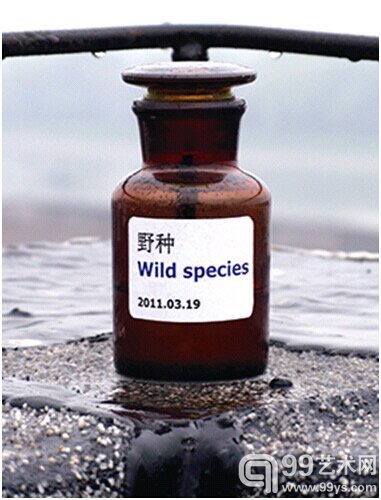 刘绍隽“野种”装置