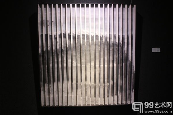 于洋《水墨物体NO.1》