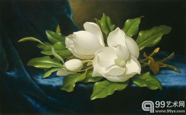 马丁·约翰逊·赫德(Martin Johnson Heade)作品《Giant Magnolias on a Blue Velvet Cloth》(1890)
