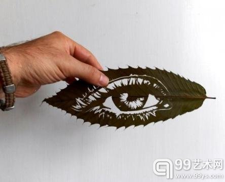 伊朗艺术家落叶上创作：超凡想象力震慑心灵