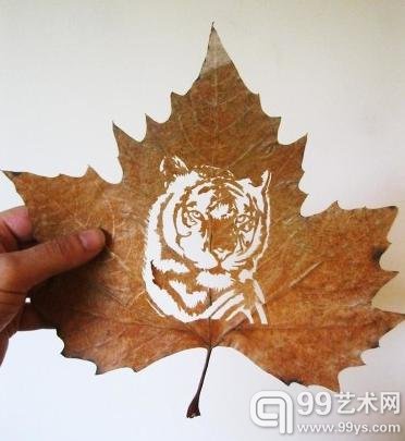 伊朗艺术家落叶上创作：超凡想象力震慑心灵