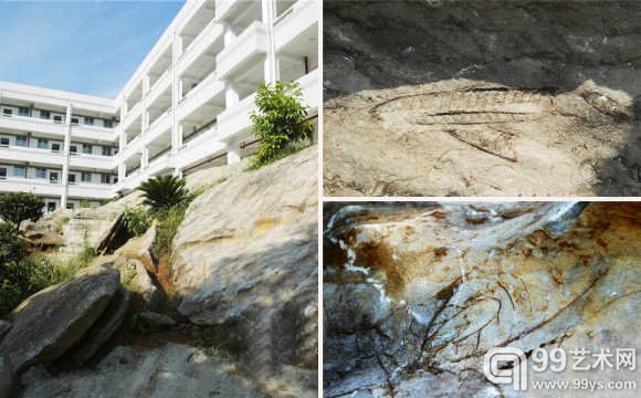 图为巨石上各种生物化石形态清晰可见。