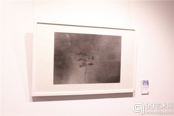 展出作品