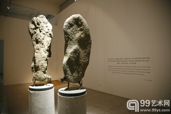 展览现场