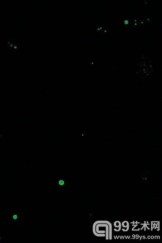 ARIETE白羊座