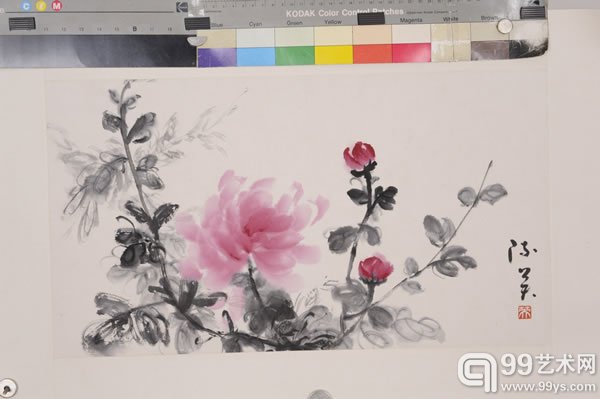 9、醉西施 2013  Drunk Beauty