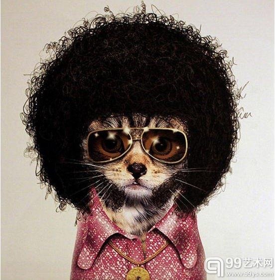 ​disco​​