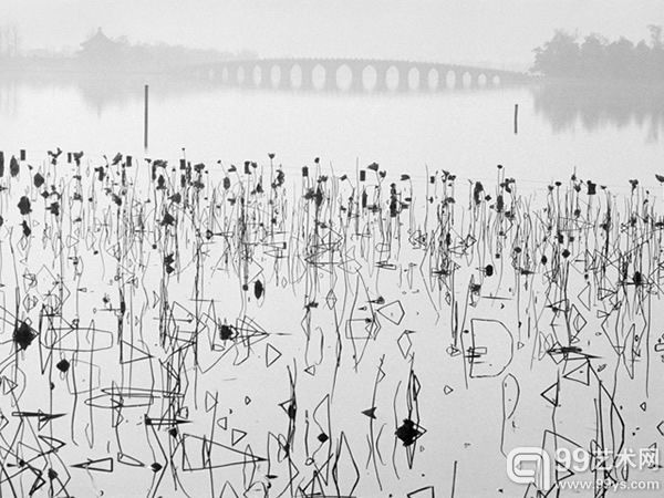 “上海艺术影像展”最值得看的六张照片
