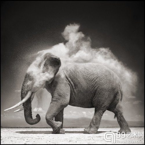 Nick Brandt courtesy of ATLAS