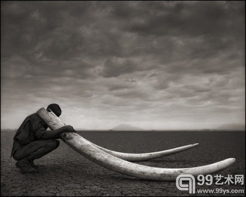with Tusks of Killed Elephant_Amboseli
