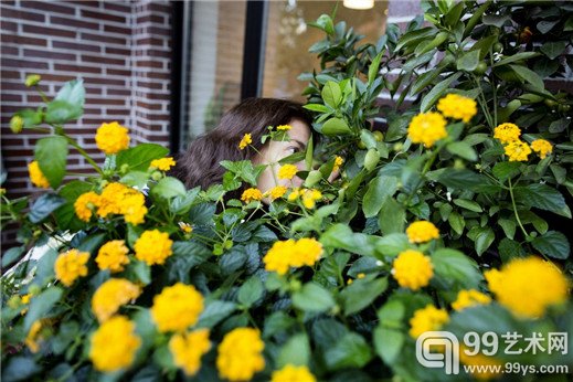 花丛的香气