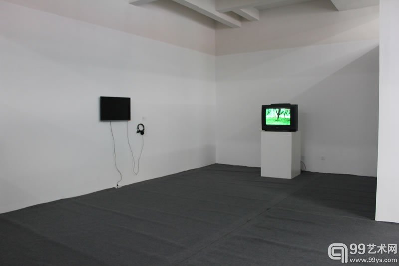 蓝顶群落展之十个独立策展