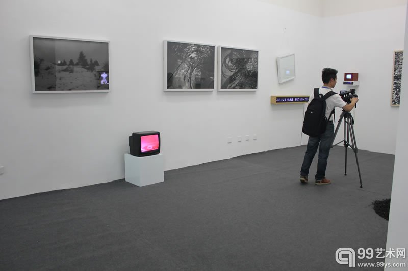 蓝顶群落展之十个独立策展