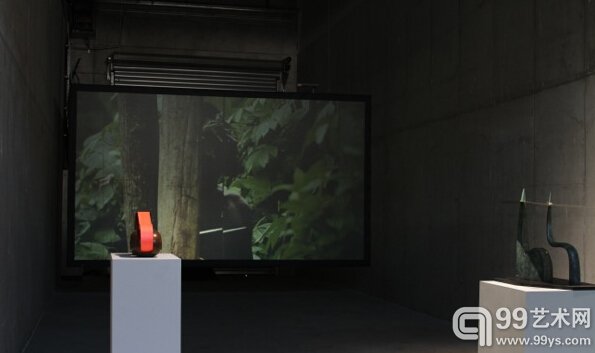 卡密尔·亨罗特（Camille Henrot），由柏林Johann König展出（展位b 60）