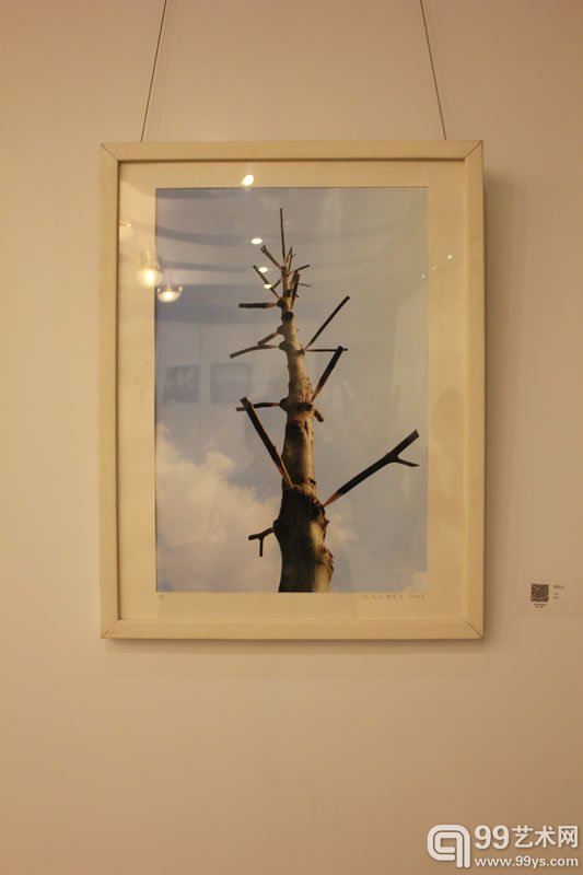 “2014菁英国际青年艺术家计划展”展览作品