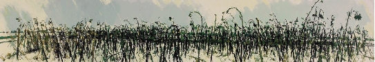 雪平线之二 布面油画