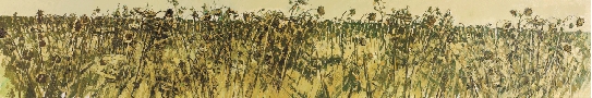 五丛葵Ⅰ布面油画
