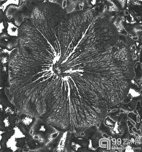 马亚平 花语NO9.、凹版40×40cm、2014年