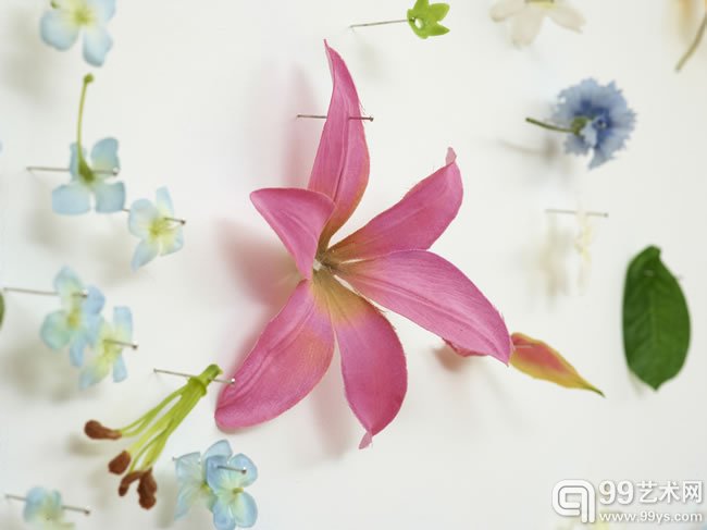 吉姆•霍奇斯作品