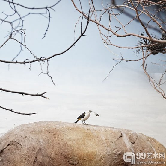埃里克·裴欧   《空中的鸟》  摄影,颜料墨水,艺术纸