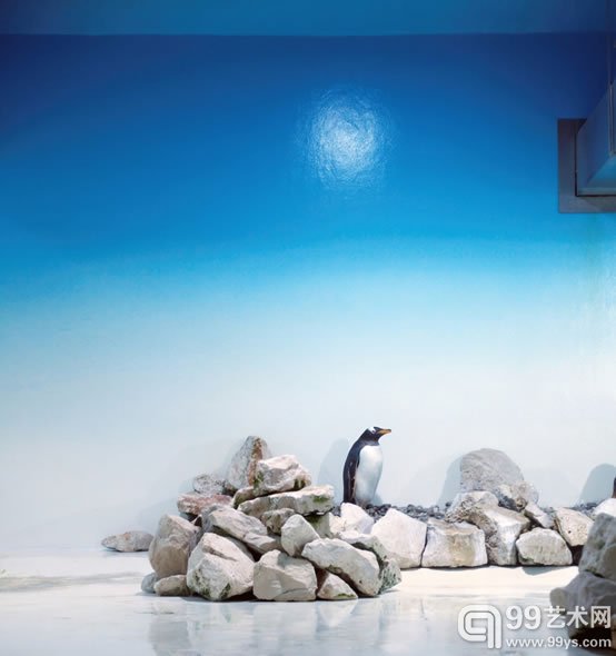 埃里克·裴欧  《蓝企鹅》  摄影,颜料墨水,艺术纸