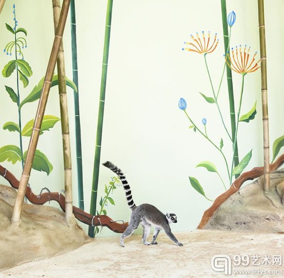 埃里克•裴欧  《狐猴与⽵子》  摄影,颜料墨水,艺术纸