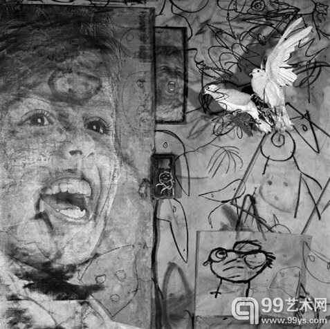 Banner, Asylum of Bird, Roger Ballen, 2009