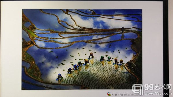 展览作品