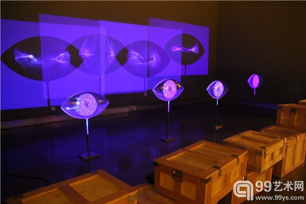 展览现场