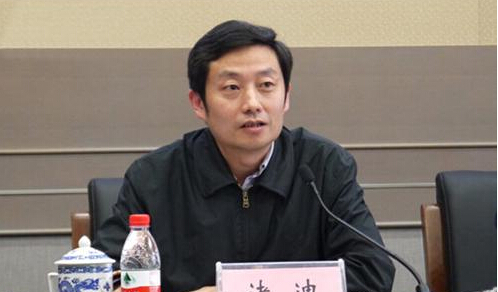 文化部艺术司司长诸迪