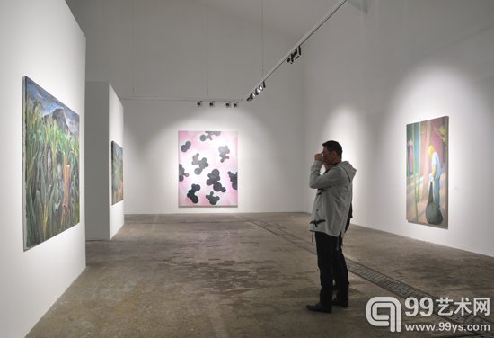 自觉：绘画十二观展览现场